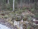 Suomi_2008-11-19_10-07-28.jpg