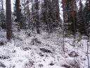 Suomi_2008-11-23_11-29-08.jpg