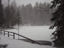 Suomi_2008-11-23_14-10-11.jpg