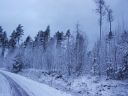 Suomi_2008-11-22_08-52-14.jpg