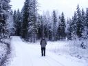 Suomi_2008-11-22_09-07-18.jpg