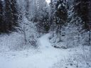 Suomi_2008-11-22_09-07-20.jpg