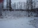 Suomi_2008-11-22_09-43-41.jpg