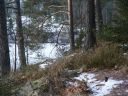 Suomi_2008-11-22_11-41-02.jpg