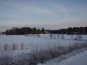 Suomi_2008-11-22_14-46-34.jpg