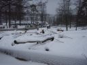 Suomi_2008-11-24_12-32-47.jpg