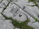 Ireland_Burren_2012-08-01_14-56-36_s.jpg