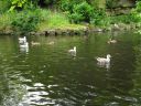 Ireland_2012-07-28_12-20-05_s.jpg