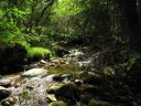 Ireland_2012-07-29_14-04-30_s.jpg